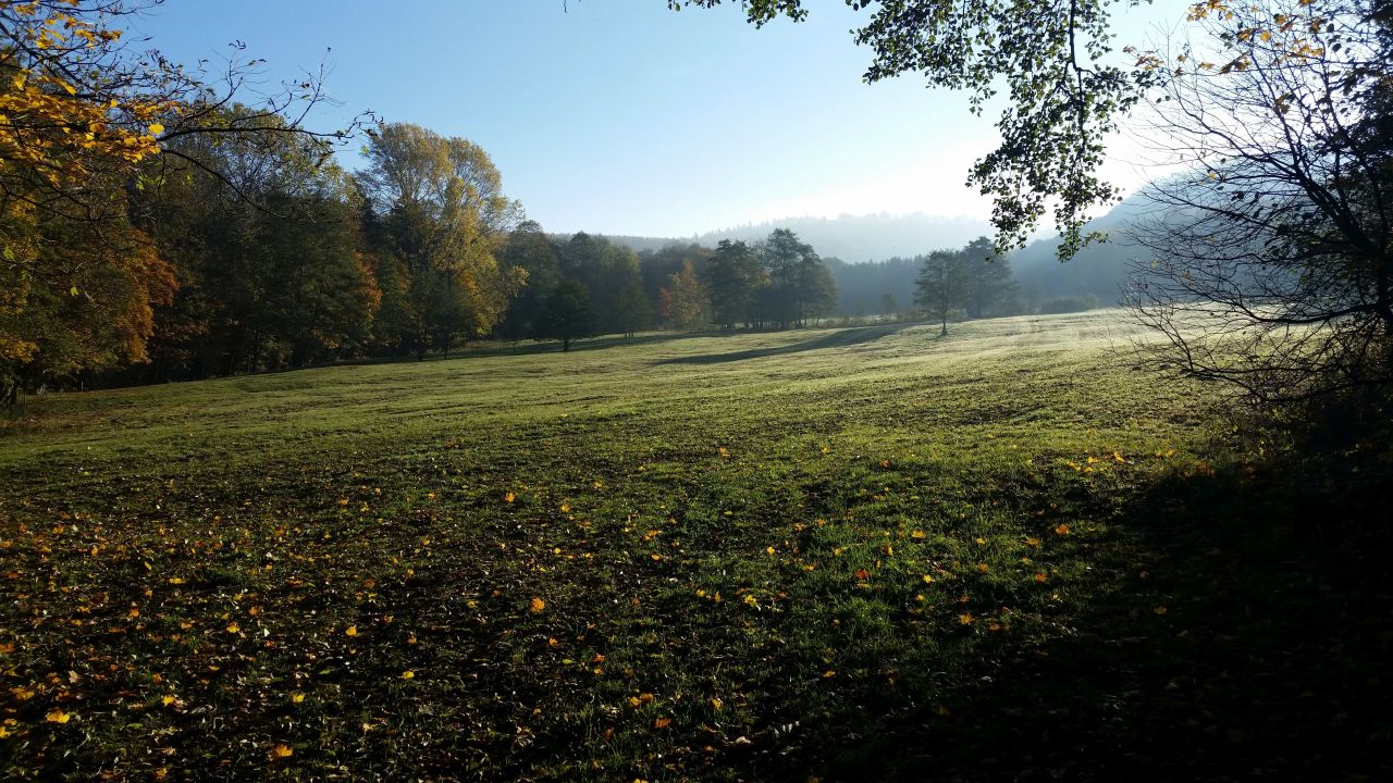 Blick in ein morgendliches Tal